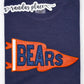 Union Bears Pennant Flag Sparkle Comfort Colors Tee